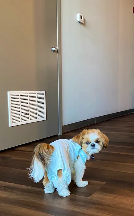 Benson Animal Clinic Picture 2