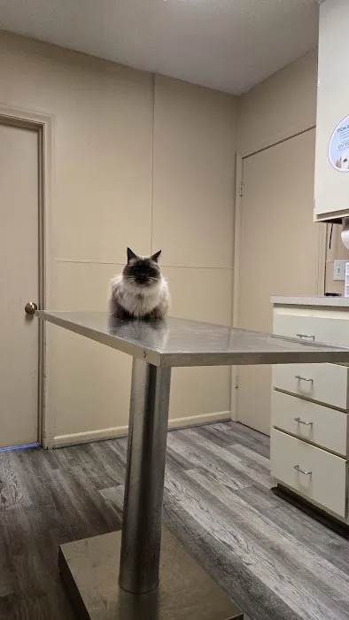 Benson Animal Clinic Picture 3