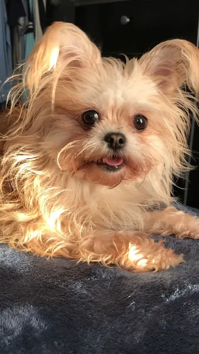 Benson Animal Clinic Picture 9