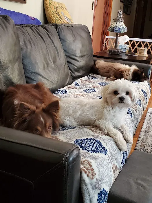 Benson Animal Clinic Picture 8