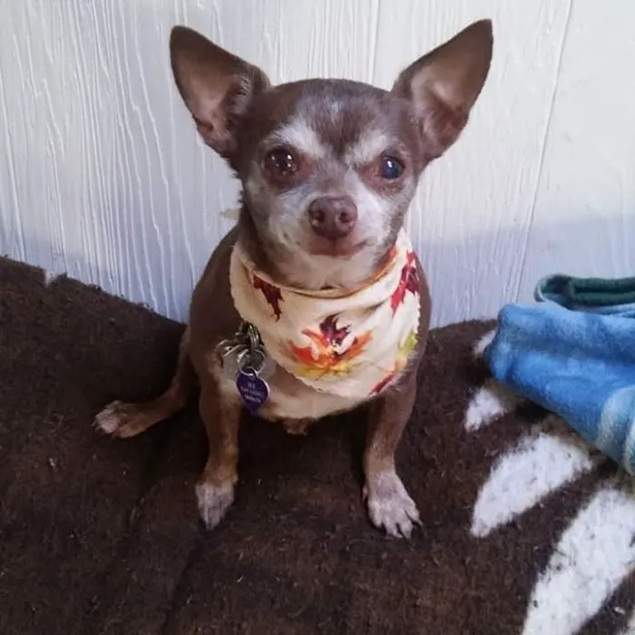 Benson Animal Clinic Picture 6