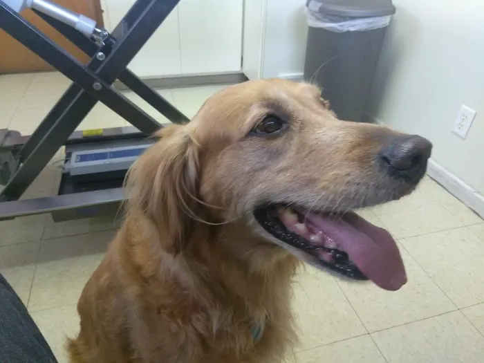 Benson Animal Clinic Picture 7