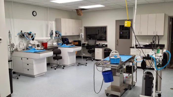 Good Samaritan Pet Doctor Picture 1