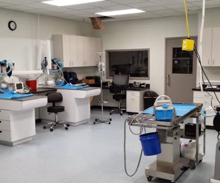 Good Samaritan Pet Doctor