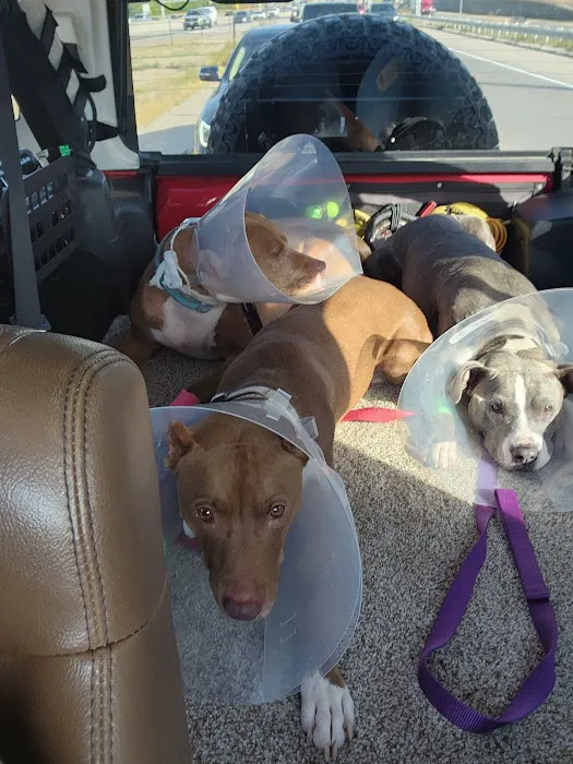 Good Samaritan Pet Doctor Picture 4