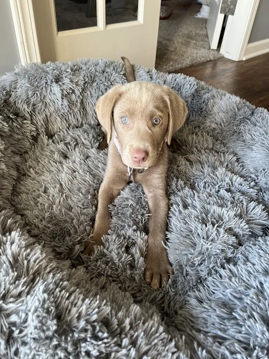 Bennington Animal Hospital Picture 2