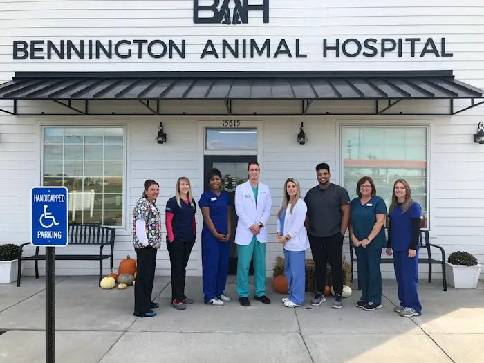 Bennington Animal Hospital Picture 7