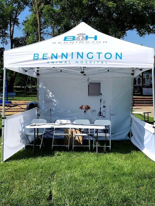 Bennington Animal Hospital Picture 9