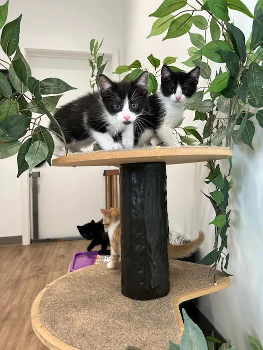 Bennington Animal Hospital Picture 10