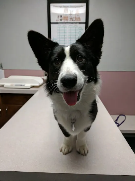 Northwest Animal Hospital Picture 1