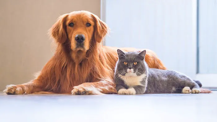 Northwest Animal Hospital Picture 4