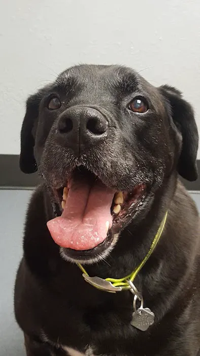 Northwest Animal Hospital Picture 2