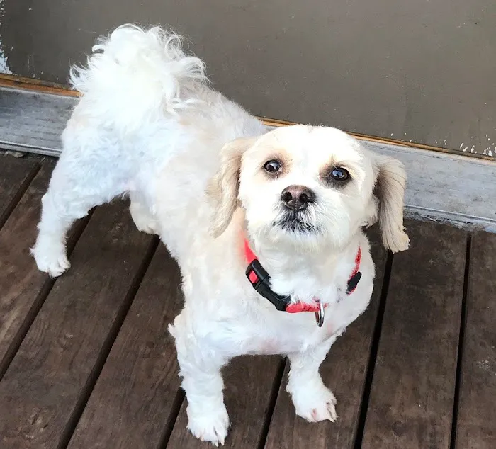 Northwest Animal Hospital Picture 10