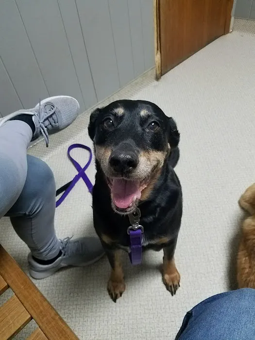 Animal Spay-Neuter Clinic Picture 1