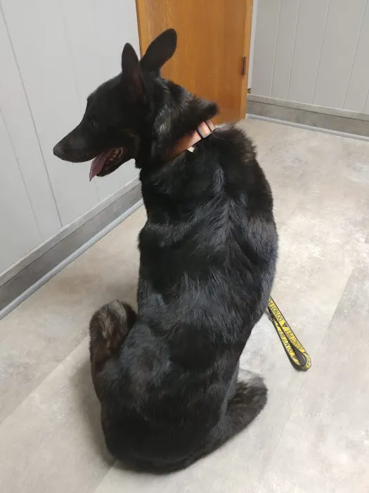 Animal Spay-Neuter Clinic Picture 4