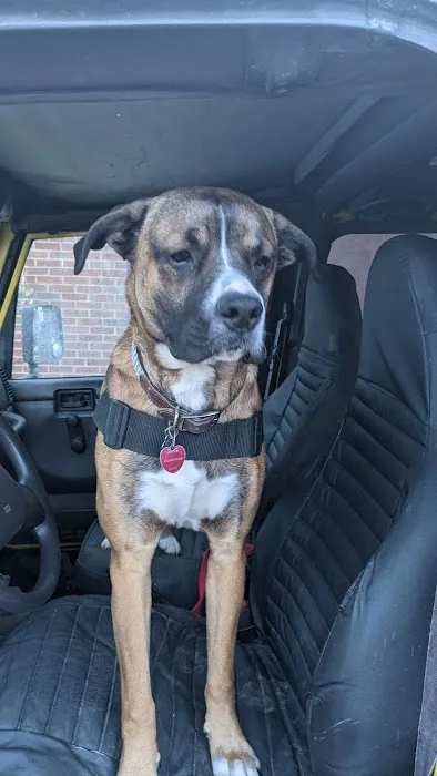 Animal Spay-Neuter Clinic Picture 9