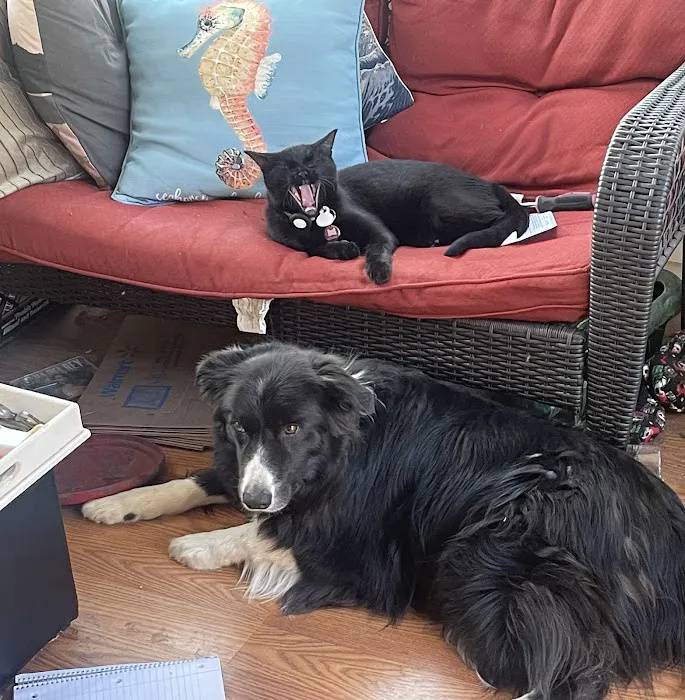 Animal Spay-Neuter Clinic Picture 8