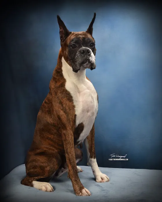 Dr. Tonya McIlnay Picture 2