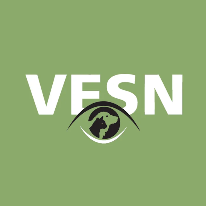 Dr. Tonya McIlnay Picture 5