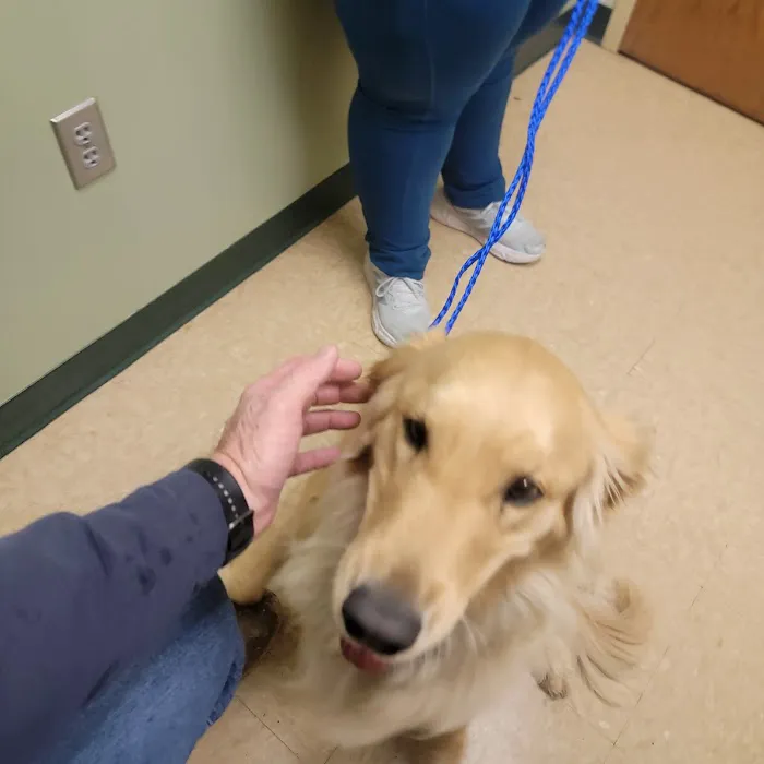 Best Care Pet Hospital Picture 2