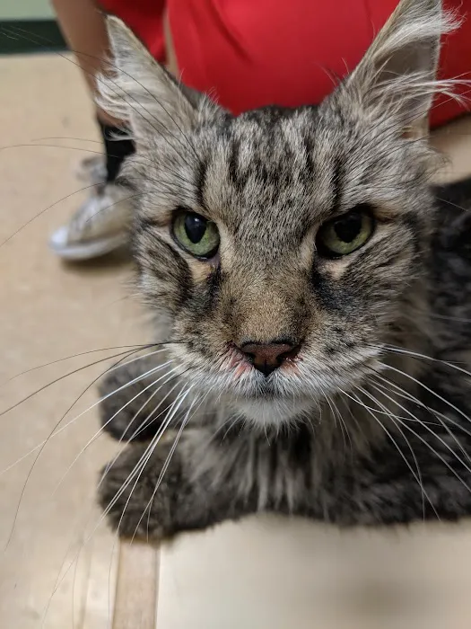 Best Care Pet Hospital Picture 6