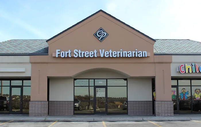 Fort Street Veterinarian Picture 1