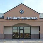 Fort Street Veterinarian