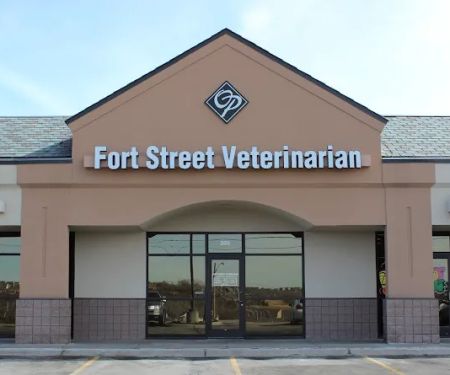 Fort Street Veterinarian
