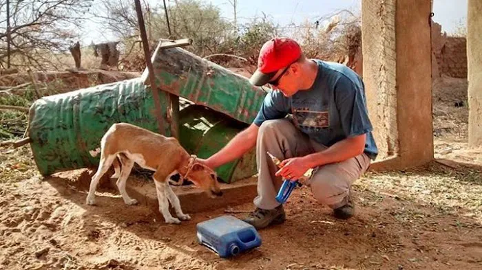 Fort Street Veterinarian Picture 8