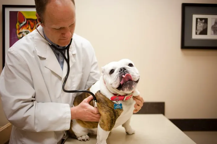 Fort Street Veterinarian Picture 9