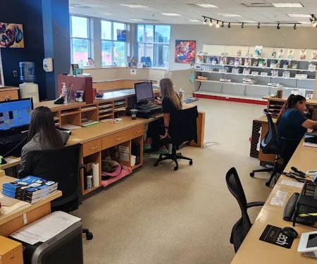 American Animal Hospital