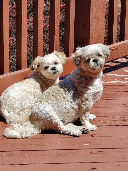 Omaha Animal Medical Group Picture 1