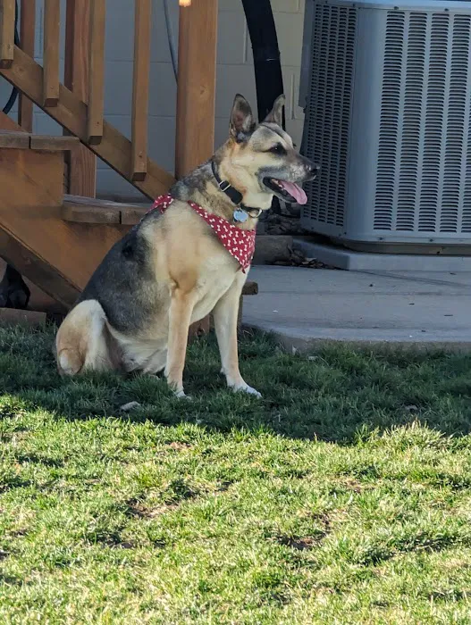 Omaha Animal Medical Group Picture 3