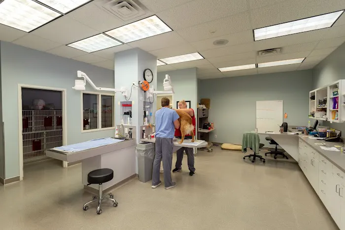 Gentle Doctor Animal Hospital Picture 10