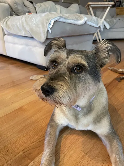 Gentle Doctor Animal Hospital Picture 5