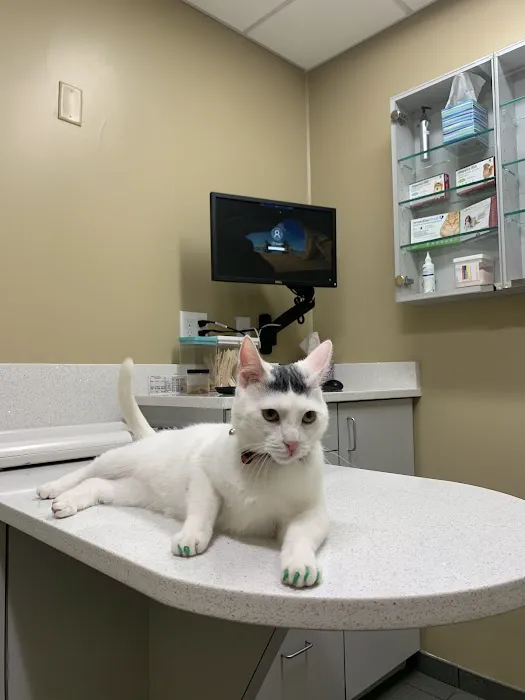 Gentle Doctor Animal Hospital Picture 3