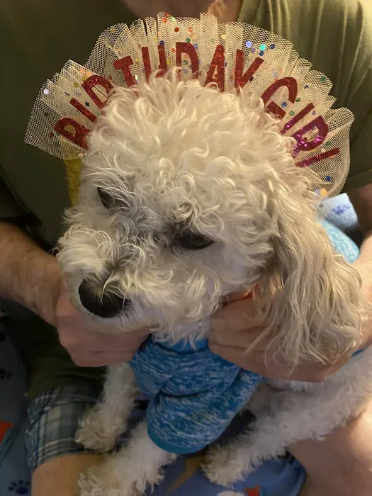 Gentle Doctor Animal Hospital Picture 8