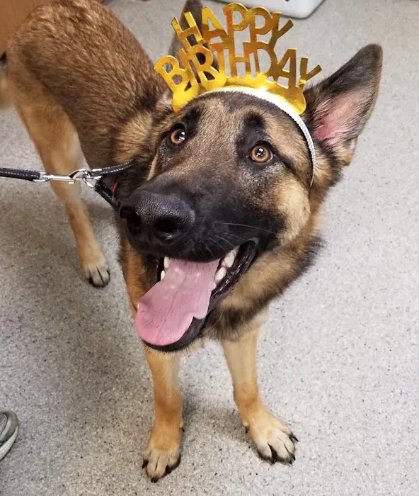 Dr. Bob Krapfl, DVM Picture 7