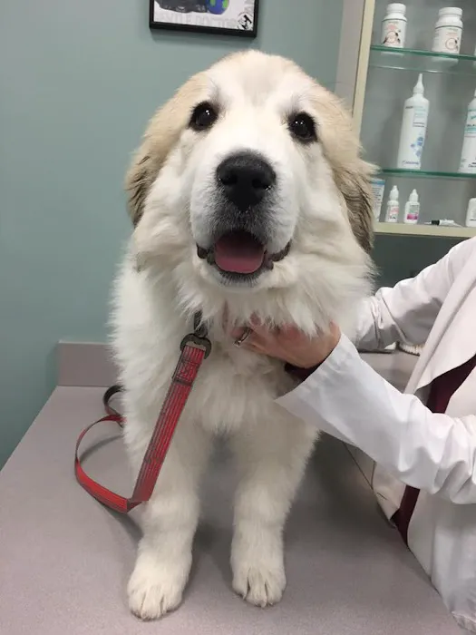 Dr. Bob Krapfl, DVM Picture 5