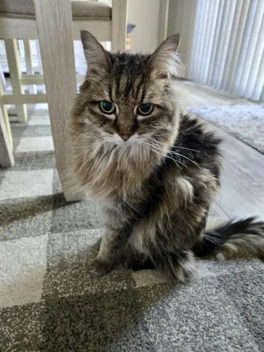 Banfield Pet Hospital Picture 2