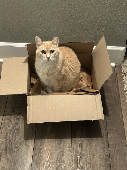 Banfield Pet Hospital Picture 3