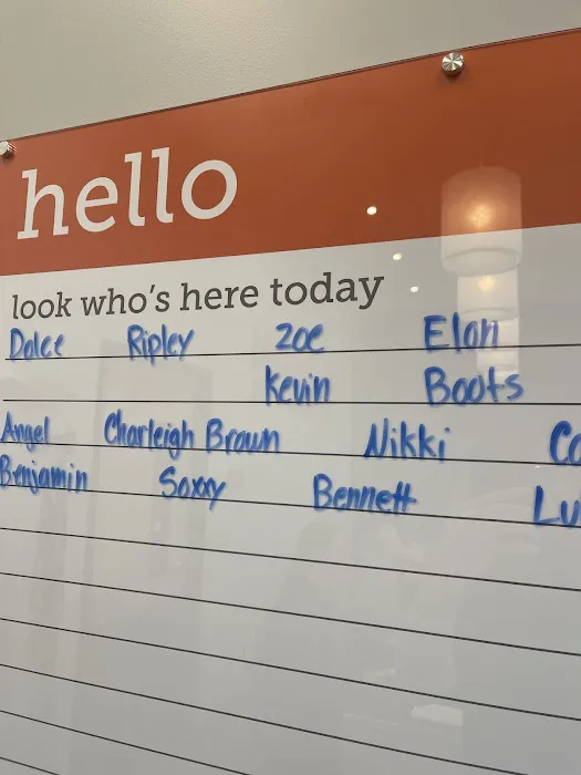 Banfield Pet Hospital Picture 6