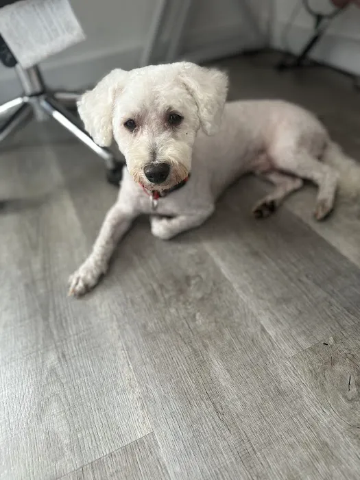 Banfield Pet Hospital Picture 7