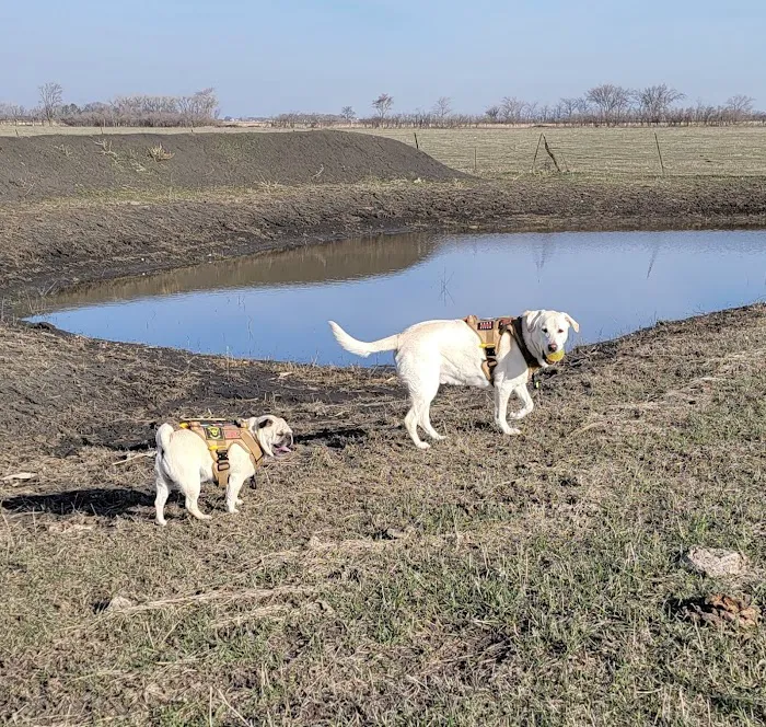 Dunes Animal Hospital Picture 4