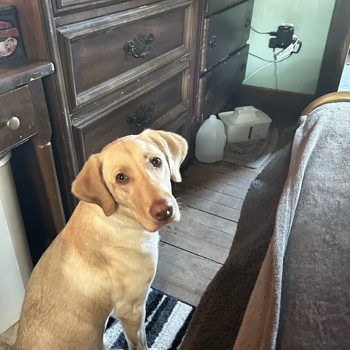 Dunes Animal Hospital Picture 5