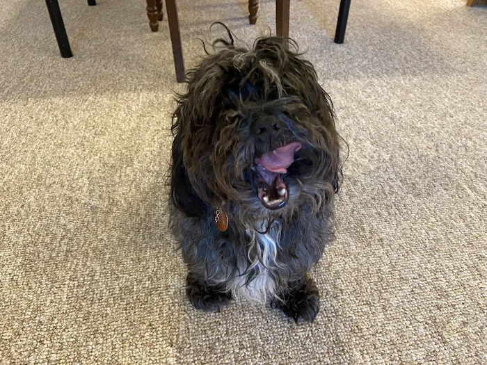 Dunes Animal Hospital Picture 7