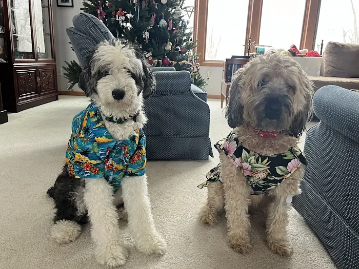 Dunes Animal Hospital Picture 10