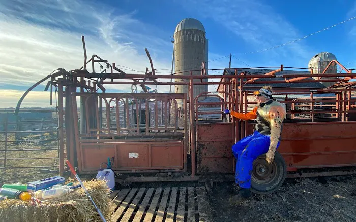 Beresford Vet Clinic PC Picture 1