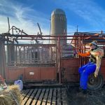 Beresford Vet Clinic PC