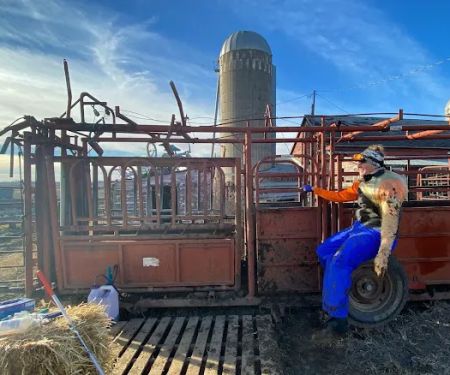 Beresford Vet Clinic PC